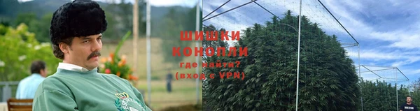 спиды Козловка
