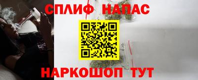 МДПВ Камышлов