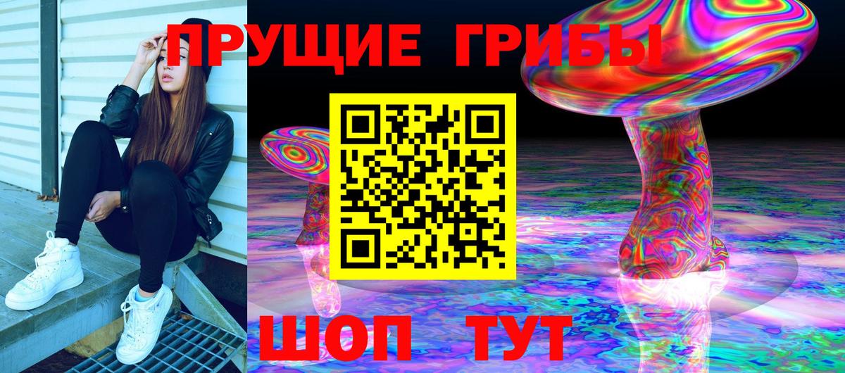 Псилоцибиновые грибы мицелий Крымск